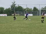 S.K.N.W.K. JO19-1 - Halsteren JO19-2 (competitie) 2024-2025 (3e fase) (31/225)